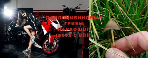 2c-b Медвежьегорск