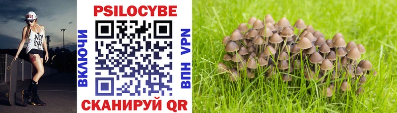 Купить Николаевск Галлюциногенные грибы GOLDEN TEACHER