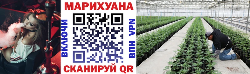 Купить закладки Николаевск Бошки Шишки THC 21%